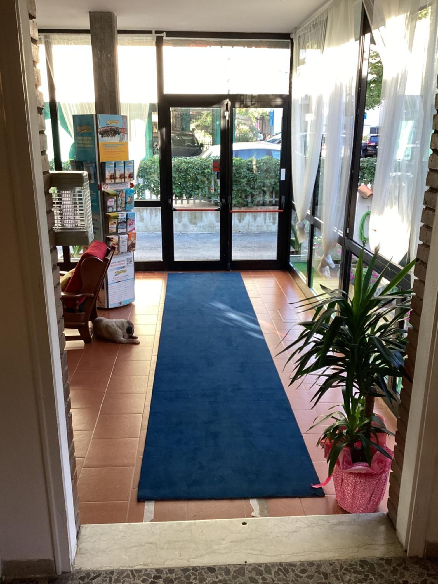 Hotel Villa Alexandra 벨레지아아지마리나 외부 사진
